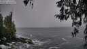 ./images/koeye/fitz-hugh/20260311/fitz-hugh20260311_101001M.jpg