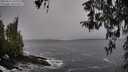 ./images/koeye/fitz-hugh/20260311/fitz-hugh20260311_110001M.jpg
