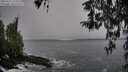 ./images/koeye/fitz-hugh/20260311/fitz-hugh20260311_115501M.jpg