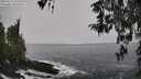 ./images/koeye/fitz-hugh/20260311/fitz-hugh20260311_135502M.jpg