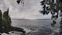 ./images/koeye/fitz-hugh/20260311/fitz-hugh20260311_141001M.jpg
