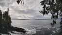 ./images/koeye/fitz-hugh/20260311/fitz-hugh20260311_143001M.jpg