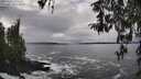 ./images/koeye/fitz-hugh/20260311/fitz-hugh20260311_150502M.jpg