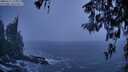 ./images/koeye/fitz-hugh/20260311/fitz-hugh20260311_194001M.jpg