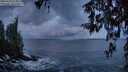 ./images/koeye/fitz-hugh/20260312/fitz-hugh20260312_073001M.jpg
