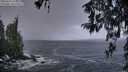 ./images/koeye/fitz-hugh/20260312/fitz-hugh20260312_075002M.jpg