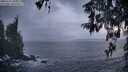 ./images/koeye/fitz-hugh/20260312/fitz-hugh20260312_080501M.jpg