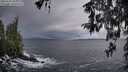 ./images/koeye/fitz-hugh/20260312/fitz-hugh20260312_082001M.jpg