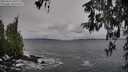 ./images/koeye/fitz-hugh/20260312/fitz-hugh20260312_095501M.jpg