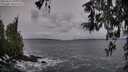 ./images/koeye/fitz-hugh/20260312/fitz-hugh20260312_100002M.jpg