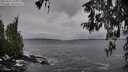./images/koeye/fitz-hugh/20260312/fitz-hugh20260312_101001M.jpg