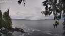 ./images/koeye/fitz-hugh/20260312/fitz-hugh20260312_103501M.jpg