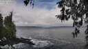 ./images/koeye/fitz-hugh/20260312/fitz-hugh20260312_122002M.jpg