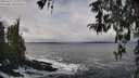 ./images/koeye/fitz-hugh/20260312/fitz-hugh20260312_123001M.jpg