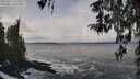 ./images/koeye/fitz-hugh/20260312/fitz-hugh20260312_123502M.jpg