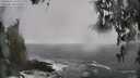 ./images/koeye/fitz-hugh/20260312/fitz-hugh20260312_145002M.jpg