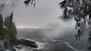 ./images/koeye/fitz-hugh/20260312/fitz-hugh20260312_145502M.jpg