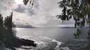 ./images/koeye/fitz-hugh/20260312/fitz-hugh20260312_153002M.jpg