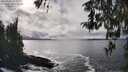 ./images/koeye/fitz-hugh/20260312/fitz-hugh20260312_153501M.jpg