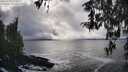 ./images/koeye/fitz-hugh/20260312/fitz-hugh20260312_154501M.jpg