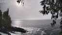 ./images/koeye/fitz-hugh/20260312/fitz-hugh20260312_161501M.jpg