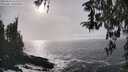 ./images/koeye/fitz-hugh/20260312/fitz-hugh20260312_162501M.jpg