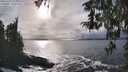 ./images/koeye/fitz-hugh/20260312/fitz-hugh20260312_164002M.jpg