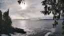 ./images/koeye/fitz-hugh/20260312/fitz-hugh20260312_165001M.jpg