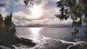 ./images/koeye/fitz-hugh/20260312/fitz-hugh20260312_171001M.jpg