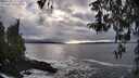 ./images/koeye/fitz-hugh/20260312/fitz-hugh20260312_172001M.jpg