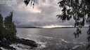 ./images/koeye/fitz-hugh/20260312/fitz-hugh20260312_172501M.jpg