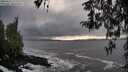 ./images/koeye/fitz-hugh/20260312/fitz-hugh20260312_173002M.jpg