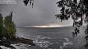 ./images/koeye/fitz-hugh/20260312/fitz-hugh20260312_174001M.jpg