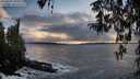 ./images/koeye/fitz-hugh/20260312/fitz-hugh20260312_183501M.jpg