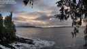 ./images/koeye/fitz-hugh/20260312/fitz-hugh20260312_184001M.jpg