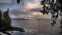 ./images/koeye/fitz-hugh/20260312/fitz-hugh20260312_184501M.jpg