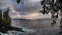 ./images/koeye/fitz-hugh/20260312/fitz-hugh20260312_185001M.jpg