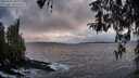 ./images/koeye/fitz-hugh/20260312/fitz-hugh20260312_190001M.jpg