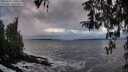 ./images/koeye/fitz-hugh/20260312/fitz-hugh20260312_190502M.jpg