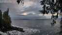 ./images/koeye/fitz-hugh/20260312/fitz-hugh20260312_191001M.jpg