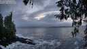 ./images/koeye/fitz-hugh/20260312/fitz-hugh20260312_191502M.jpg