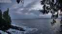 ./images/koeye/fitz-hugh/20260312/fitz-hugh20260312_192001M.jpg