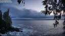 ./images/koeye/fitz-hugh/20260312/fitz-hugh20260312_193501M.jpg