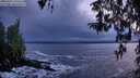 ./images/koeye/fitz-hugh/20260312/fitz-hugh20260312_194501M.jpg