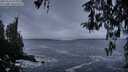 ./images/koeye/fitz-hugh/20260313/fitz-hugh20260313_074001M.jpg