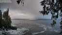 ./images/koeye/fitz-hugh/20260313/fitz-hugh20260313_083501M.jpg