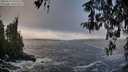 ./images/koeye/fitz-hugh/20260313/fitz-hugh20260313_094501M.jpg