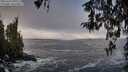 ./images/koeye/fitz-hugh/20260313/fitz-hugh20260313_095501M.jpg