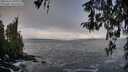 ./images/koeye/fitz-hugh/20260313/fitz-hugh20260313_100001M.jpg