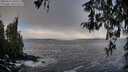 ./images/koeye/fitz-hugh/20260313/fitz-hugh20260313_100501M.jpg